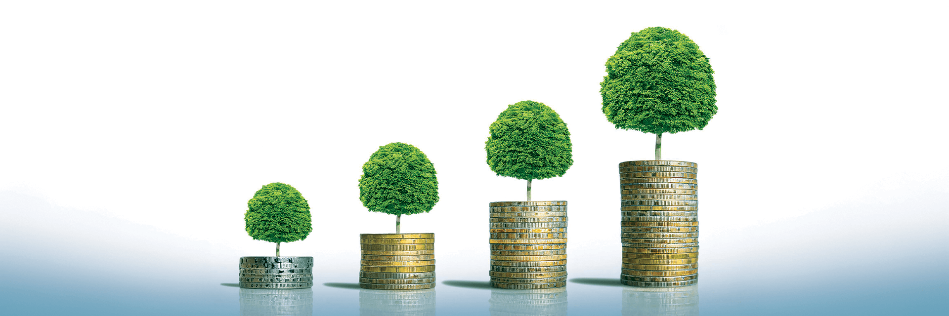 A Quick Guide to Portfolio Construction