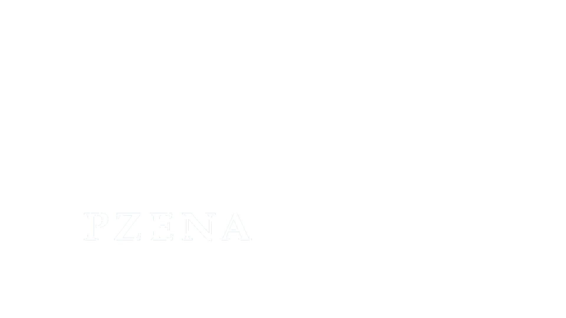 Pzena Investment logo, client of EDS