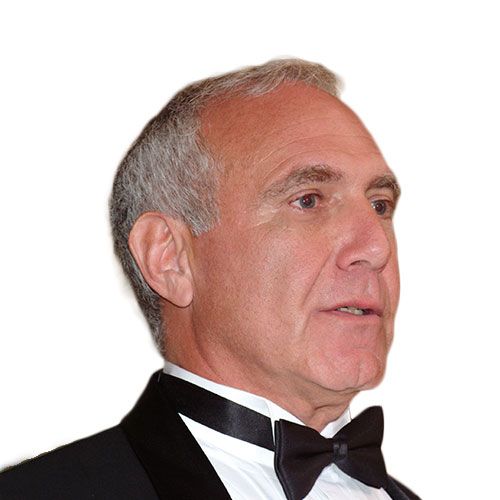 Les Strauss - Advisor